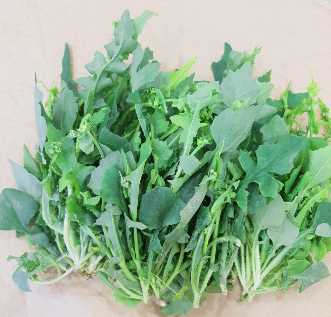 Cải Trời